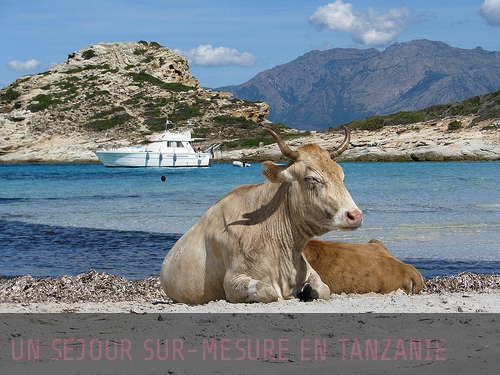 Vous rêvez de savanes à l'infini ? Rendez-vous en Tanzanie